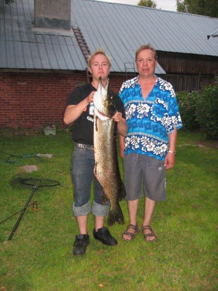 Tintti-Uistimen galleria