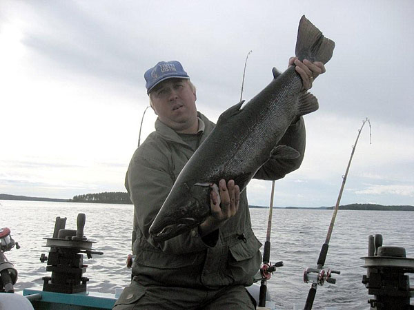 Tintti-Uistimen galleria