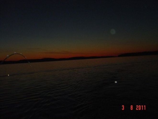 Tintti-Uistimen galleria