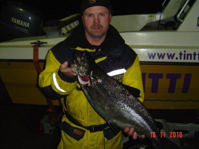 Tintti-Uistimen galleria