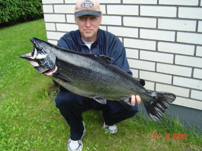 Tintti-Uistimen galleria