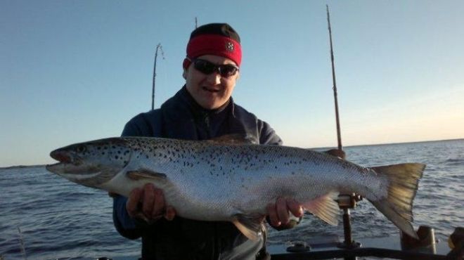 Tintti-Uistimen galleria