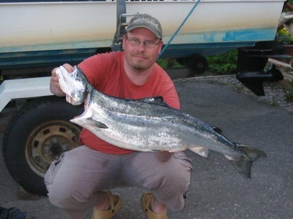 Tintti-Uistimen galleria