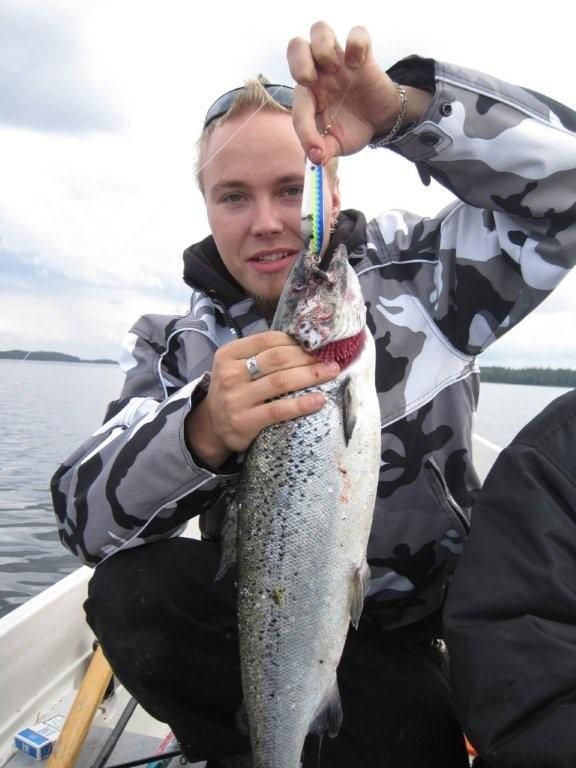 Tintti-Uistimen galleria