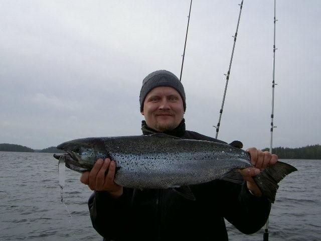 Tintti-Uistimen galleria