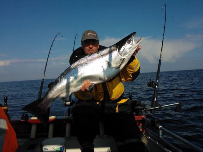 Tintti-Uistimen galleria