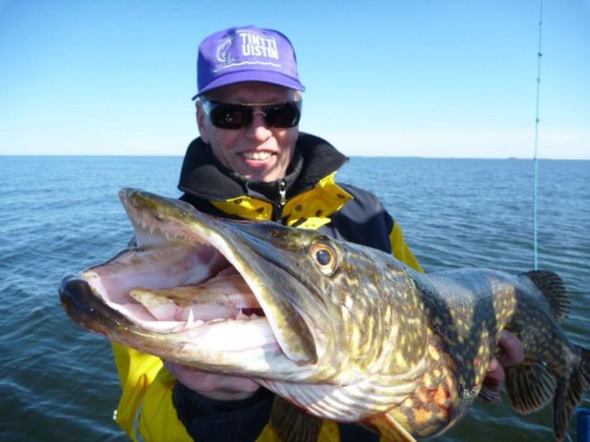 Tintti-Uistimen galleria