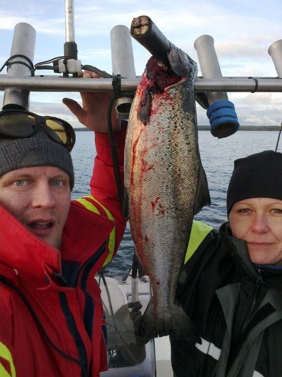 Tintti-Uistimen galleria