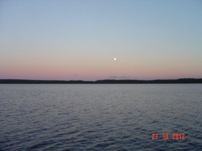 Tintti-Uistimen galleria