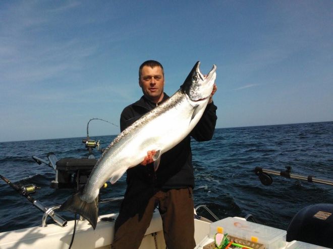 Tintti-Uistimen galleria