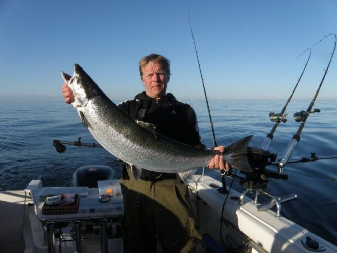 Tintti-Uistimen galleria