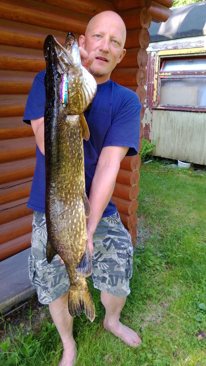 Tintti-Uistimen galleria