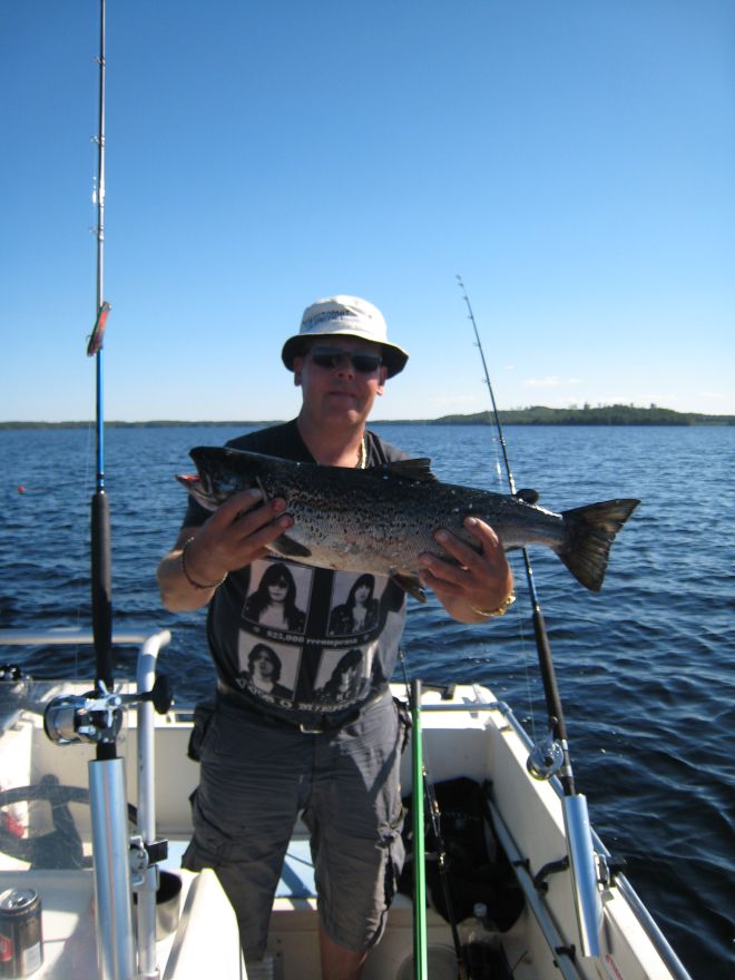 Tintti-Uistimen galleria