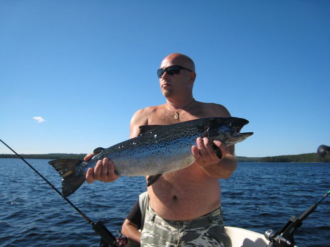 Tintti-Uistimen galleria