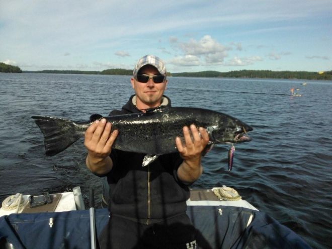 Tintti-Uistimen galleria