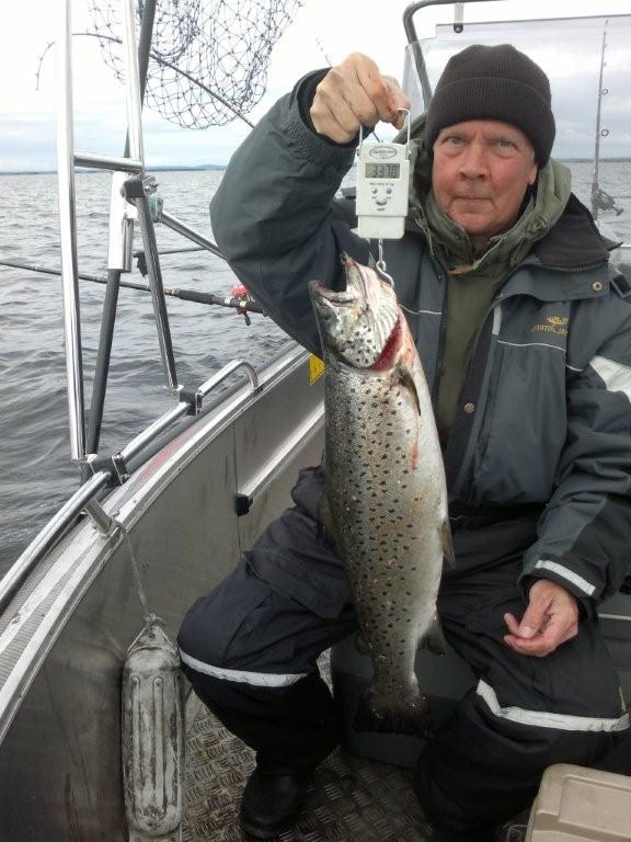 Tintti-Uistimen galleria