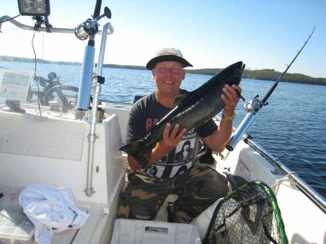 Tintti-Uistimen galleria