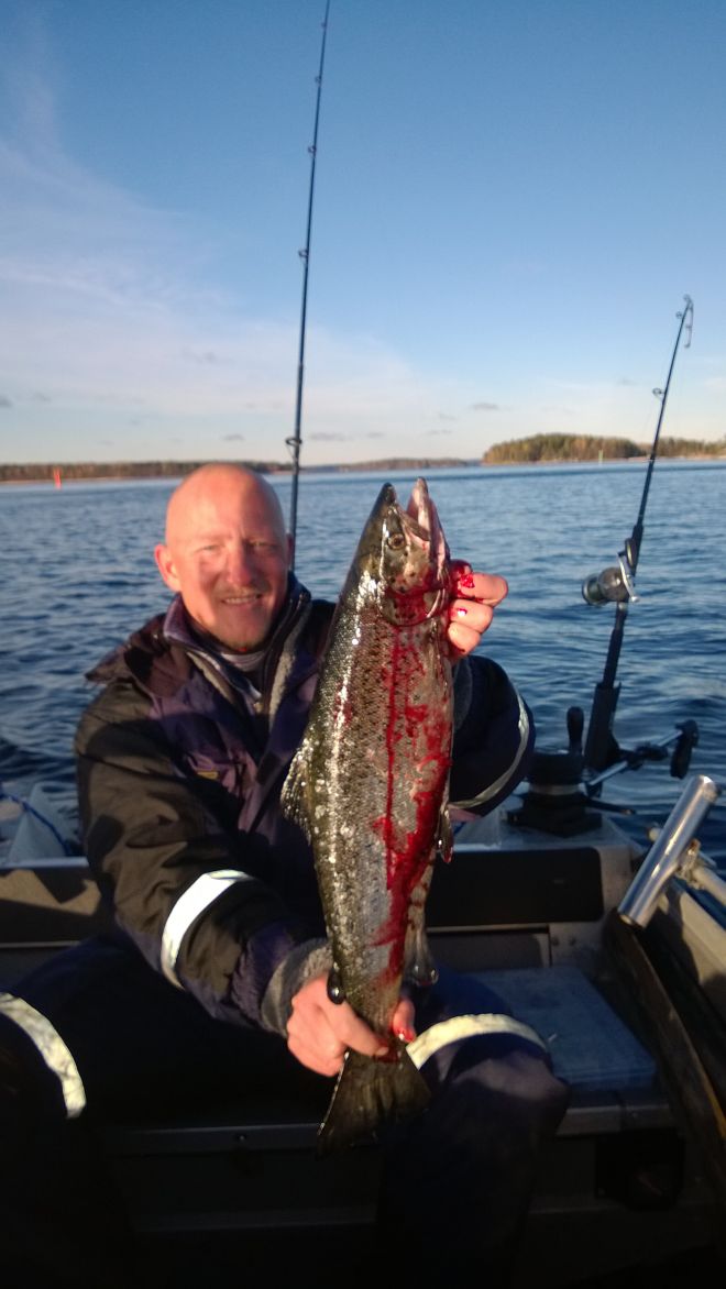 Tintti-Uistimen galleria