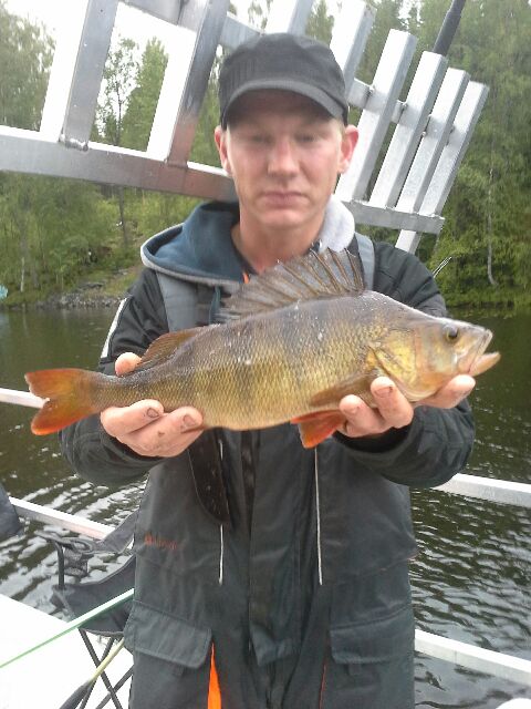 Tintti-Uistimen galleria