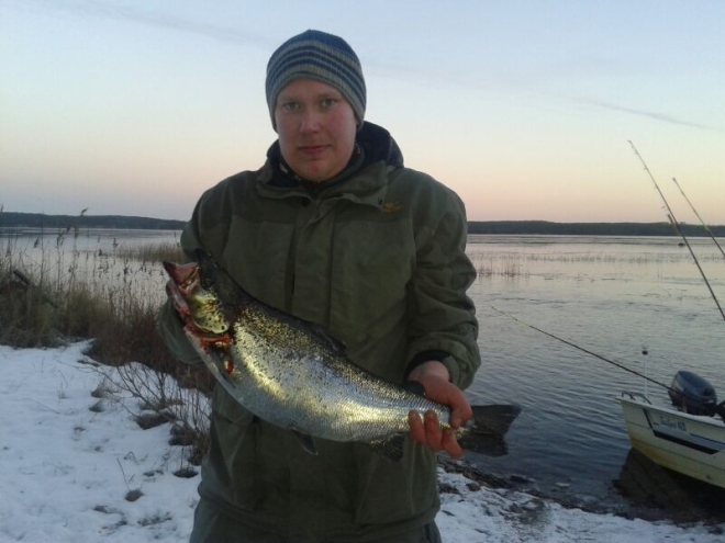 Tintti-Uistimen galleria