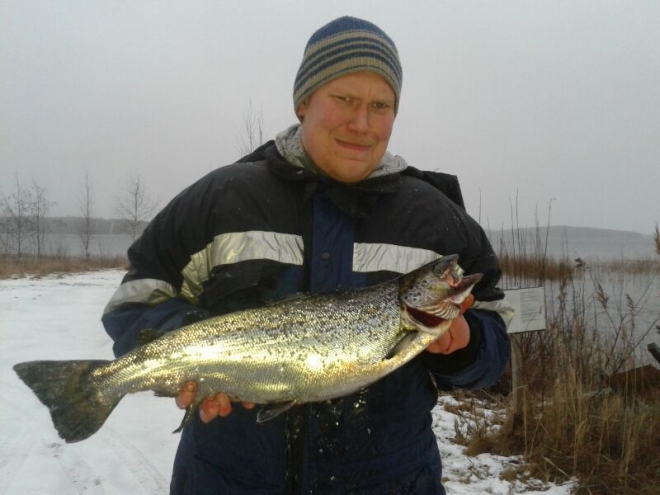 Tintti-Uistimen galleria