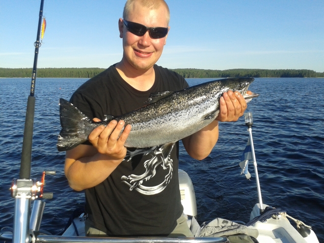 Tintti-Uistimen galleria