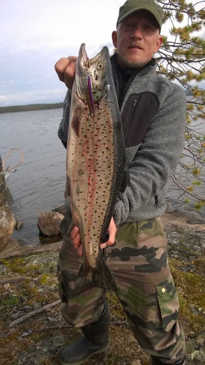 Tintti-Uistimen galleria