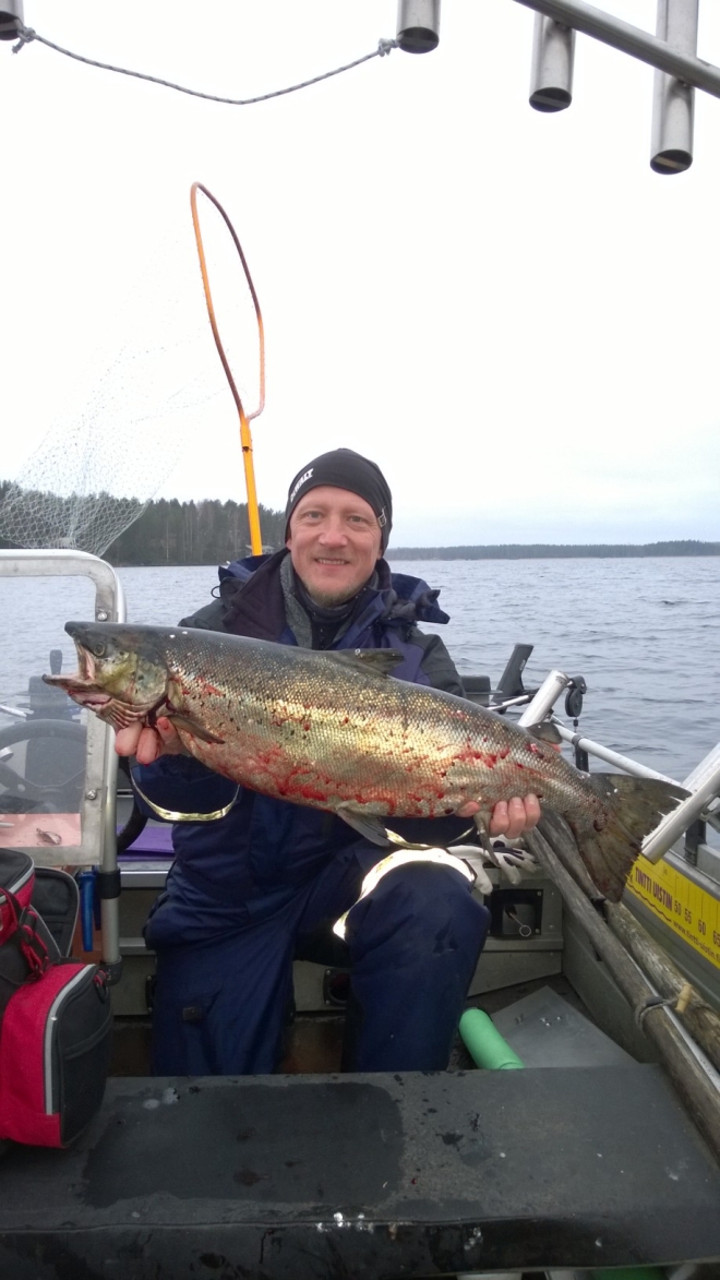 Tintti-Uistimen galleria