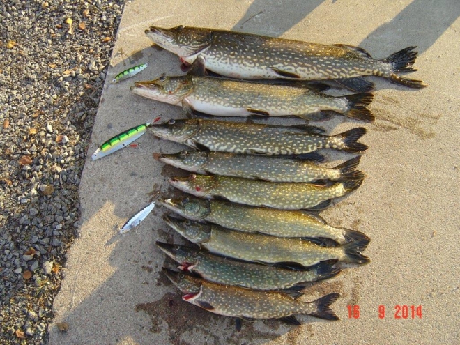 Tintti-Uistimen galleria