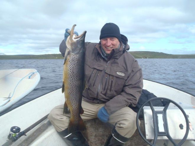 Tintti-Uistimen galleria