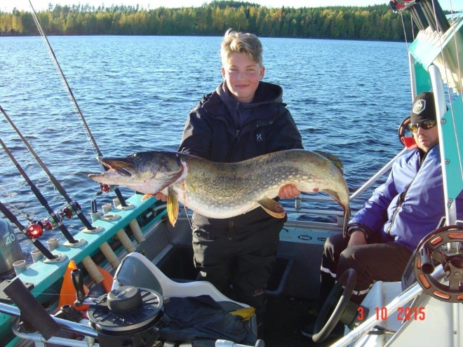 Tintti-Uistimen galleria