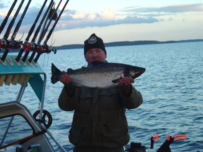 Tintti-Uistimen galleria