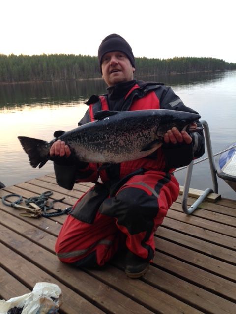 Tintti-Uistimen galleria