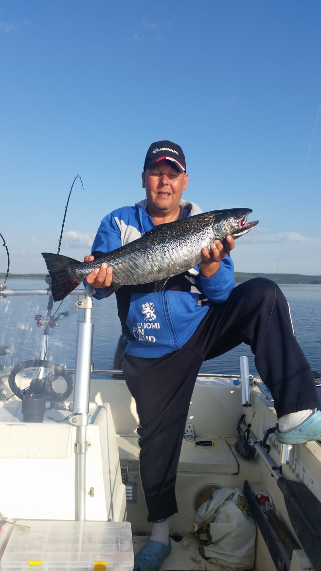 Tintti-Uistimen galleria