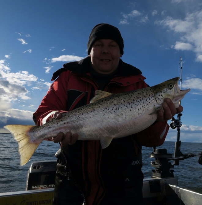 Tintti-Uistimen galleria