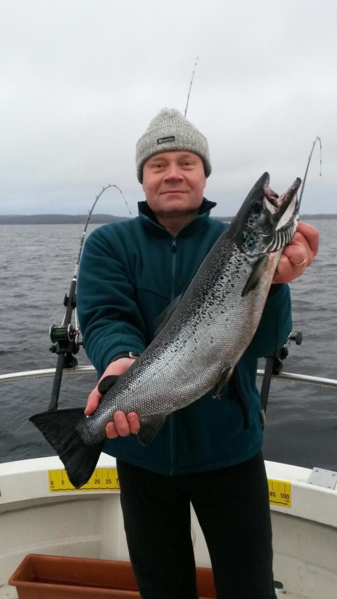 Tintti-Uistimen galleria