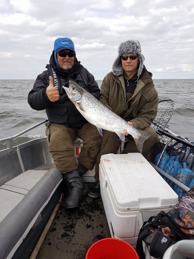 Tintti-Uistimen galleria