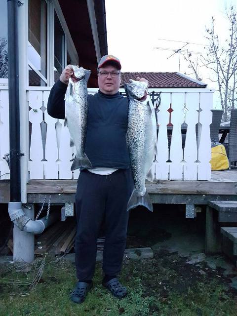 Tintti-Uistimen galleria