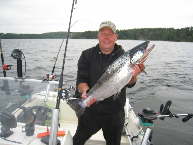 Tintti-Uistimen galleria