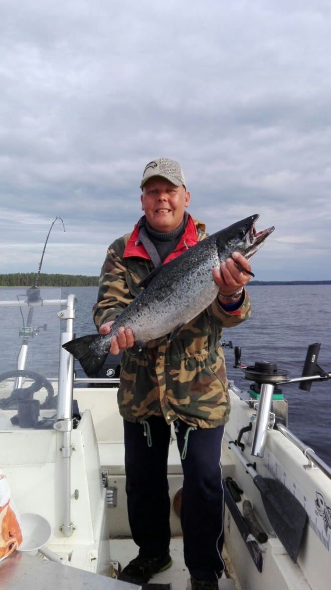 Tintti-Uistimen galleria