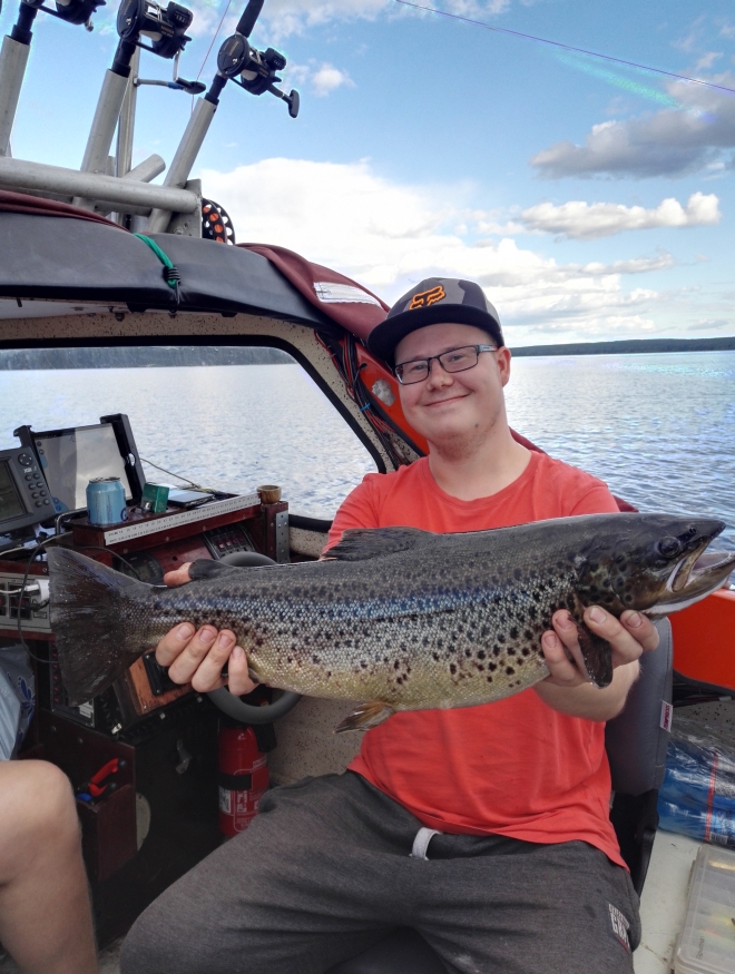 Tintti-Uistimen galleria