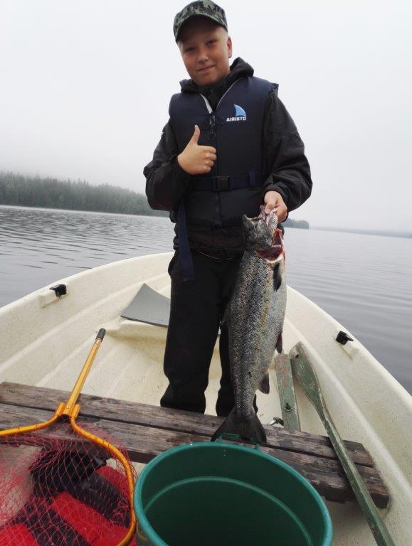 Tintti-Uistimen galleria