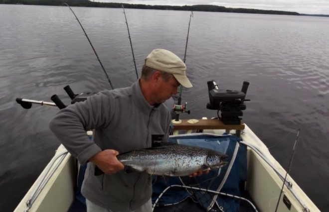 Tintti-Uistimen galleria