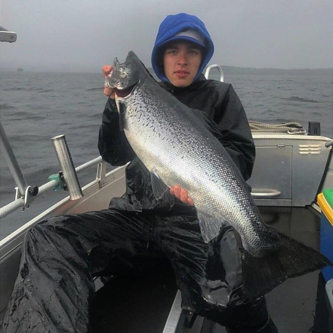 Tintti-Uistimen galleria