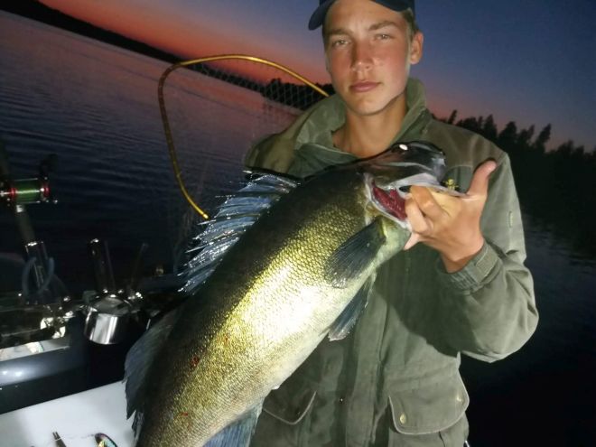 Tintti-Uistimen galleria