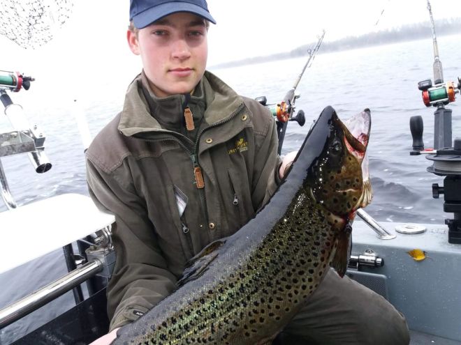 Tintti-Uistimen galleria