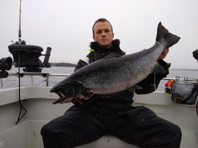 Tintti-Uistimen galleria