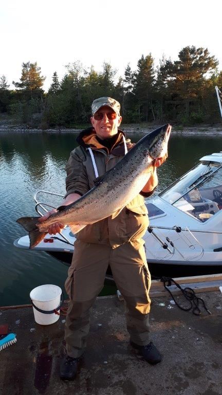 Tintti-Uistimen galleria