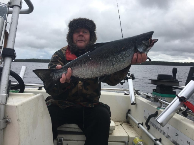 Tintti-Uistimen galleria