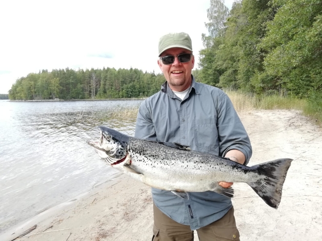 Tintti-Uistimen galleria